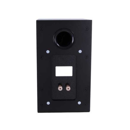 Intra Specific Isolation Technology Inert CDASP3 Speaker Cabinet